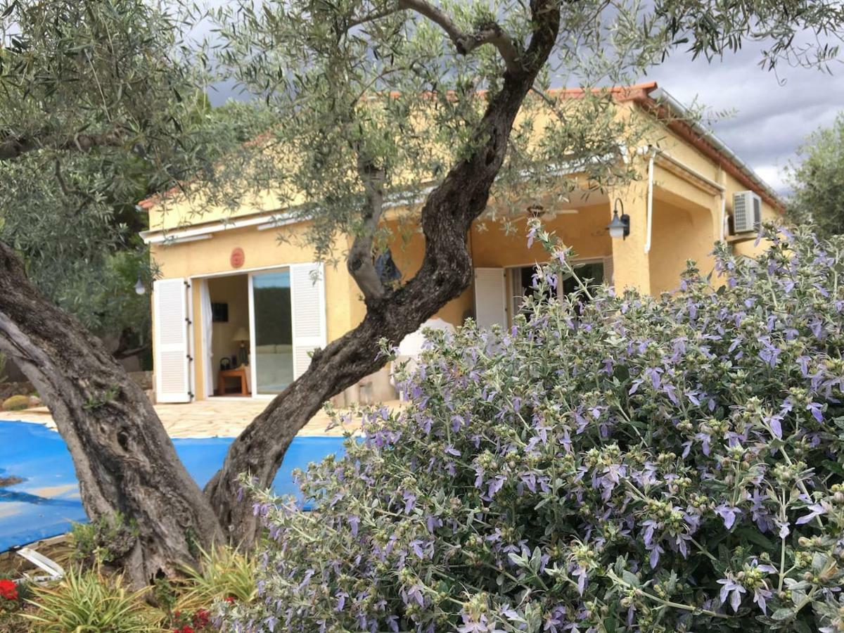 La Inopia Villa L'Ampolla Kültér fotó